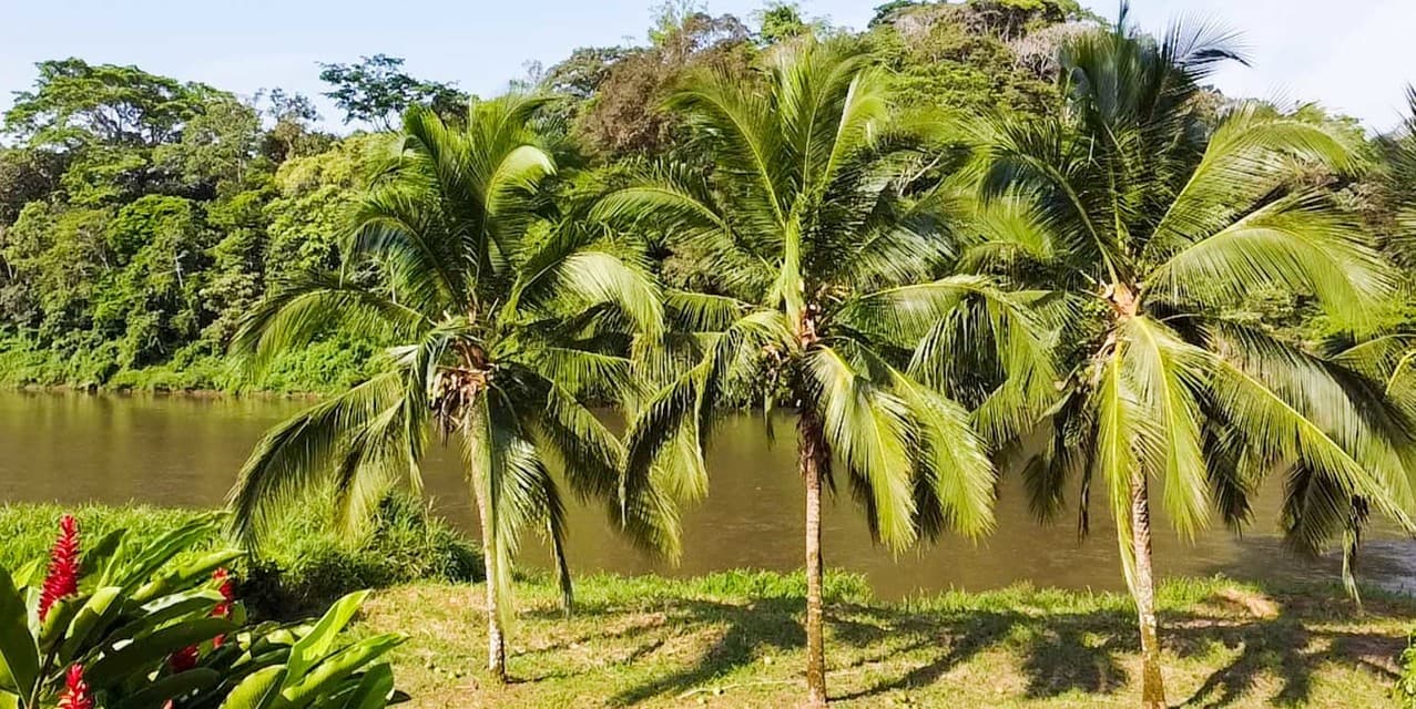 Hacienda Agropecuaria Río San Carlos — photo