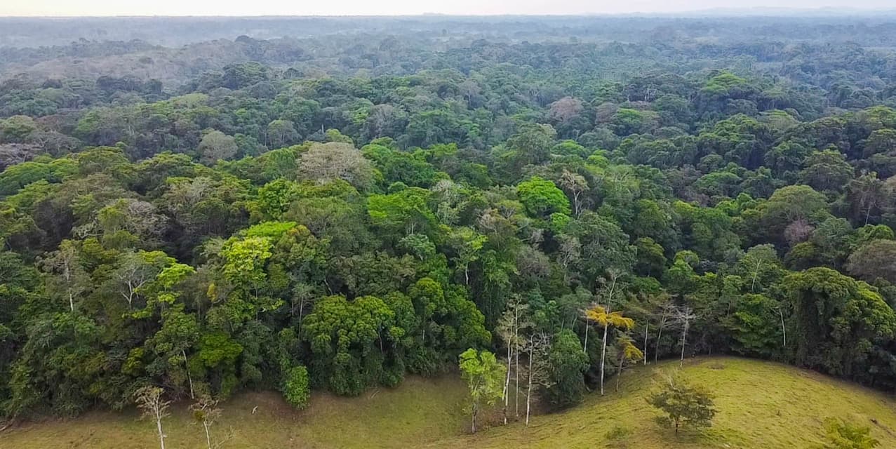Hacienda Agropecuaria Río San Carlos — photo