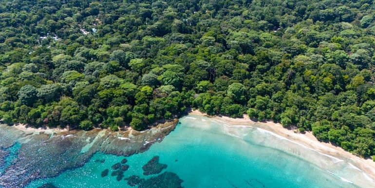 Playa Chiquita Shores Lush