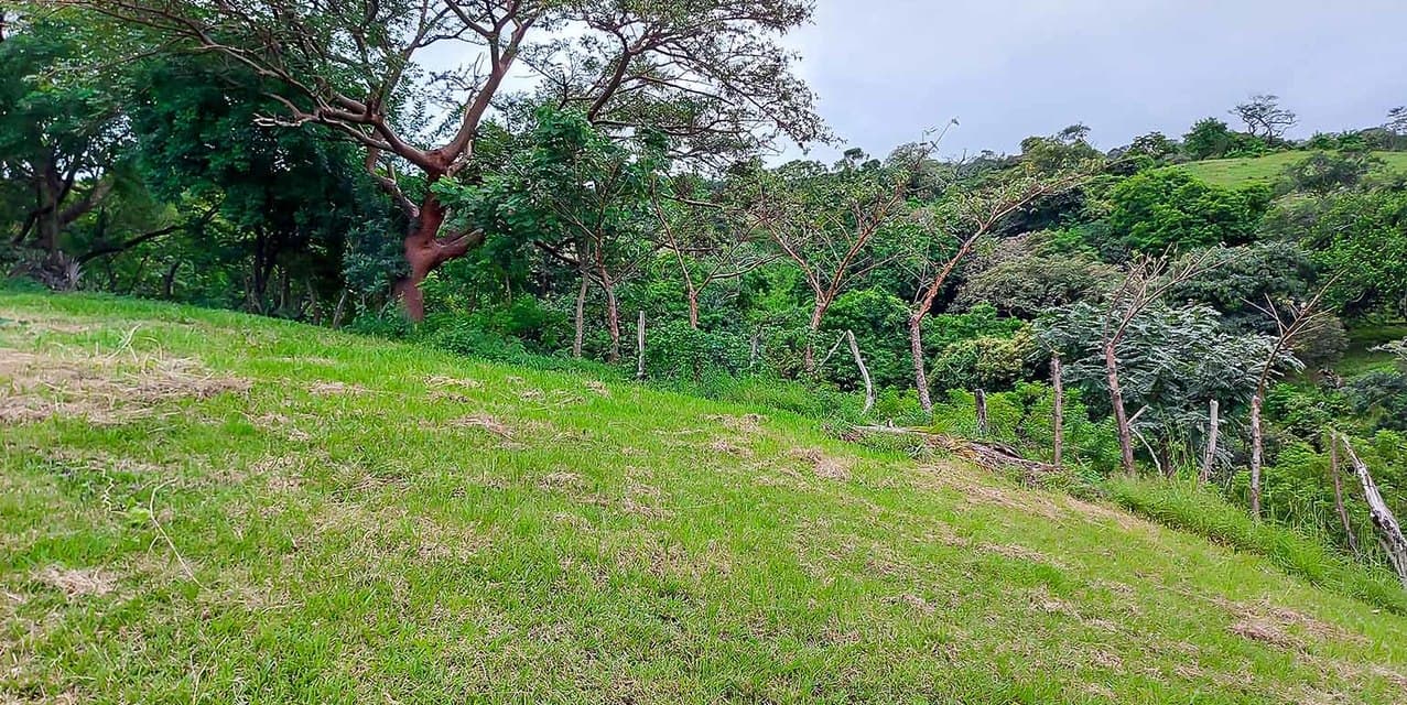 Vista Verde Piedades Lot — photo