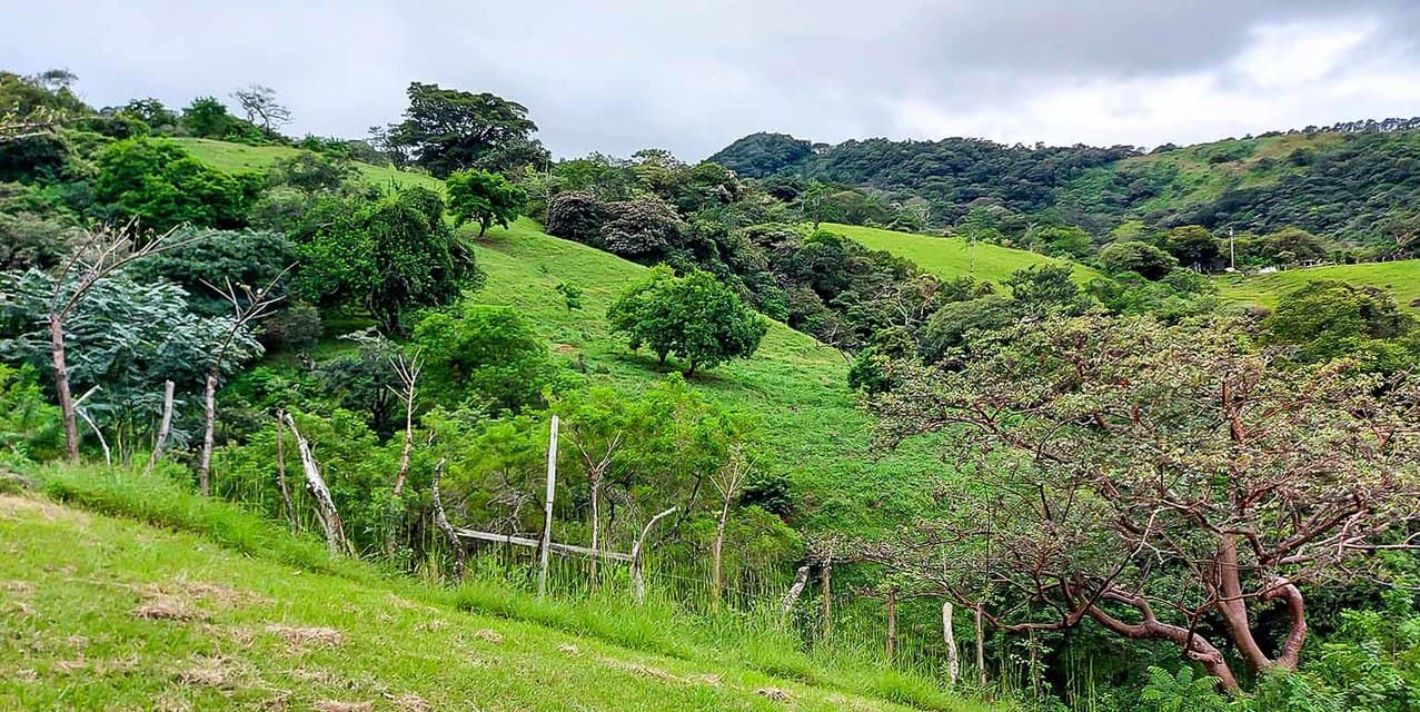Vista Verde Piedades Lot — photo