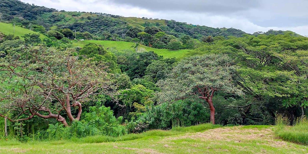 Vista Verde Piedades Lot — photo