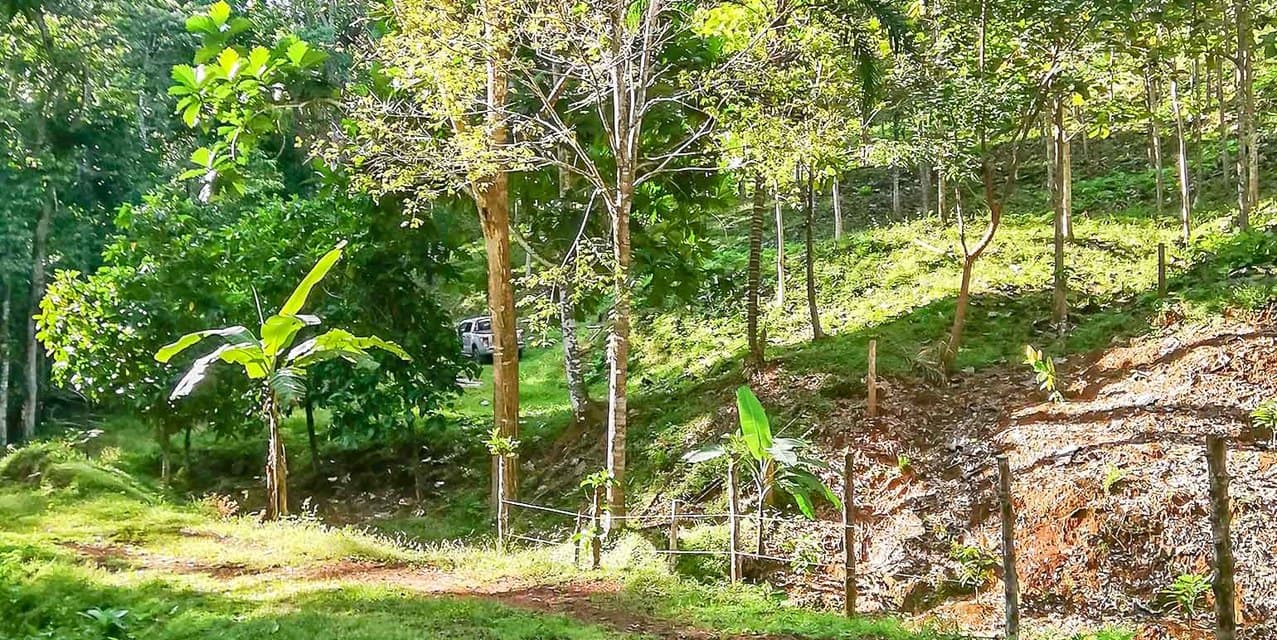 Santimar del Pacifico Farm at Turrubares — photo