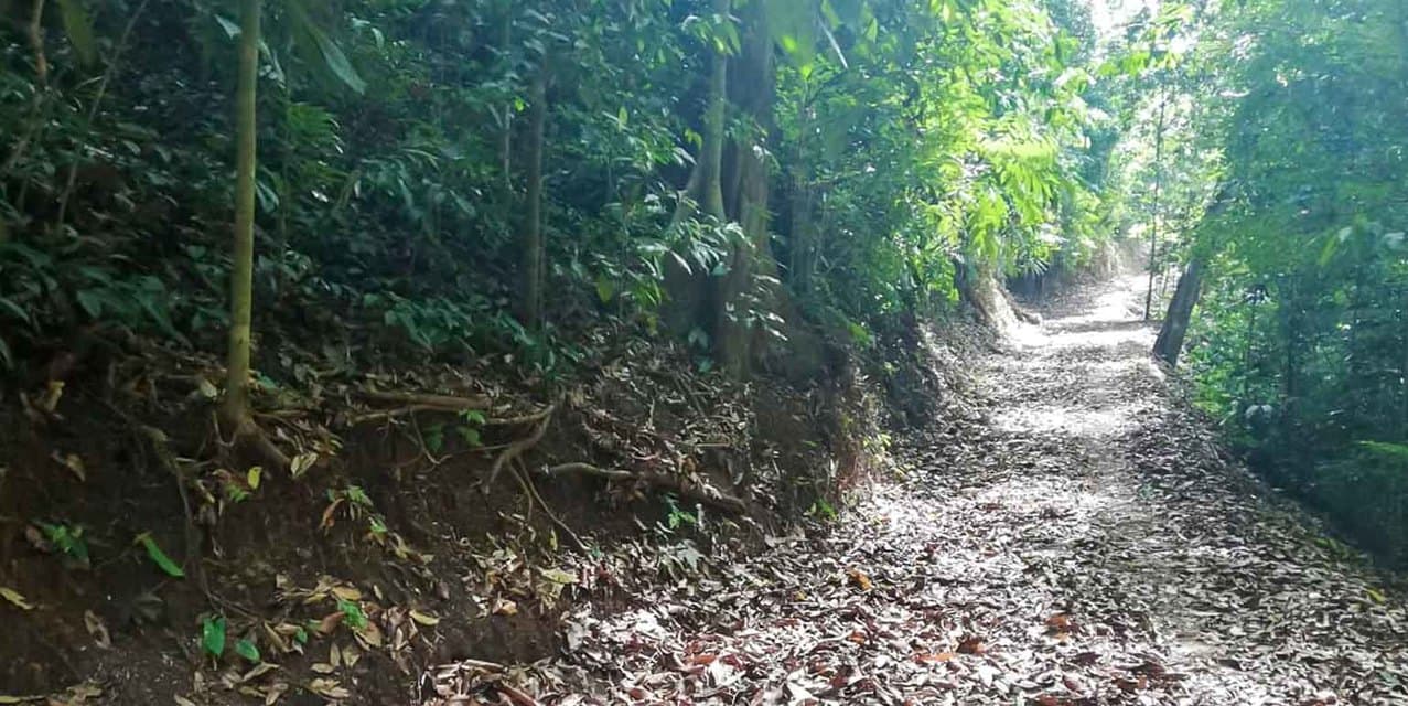 Santimar del Pacifico Farm at Turrubares — photo