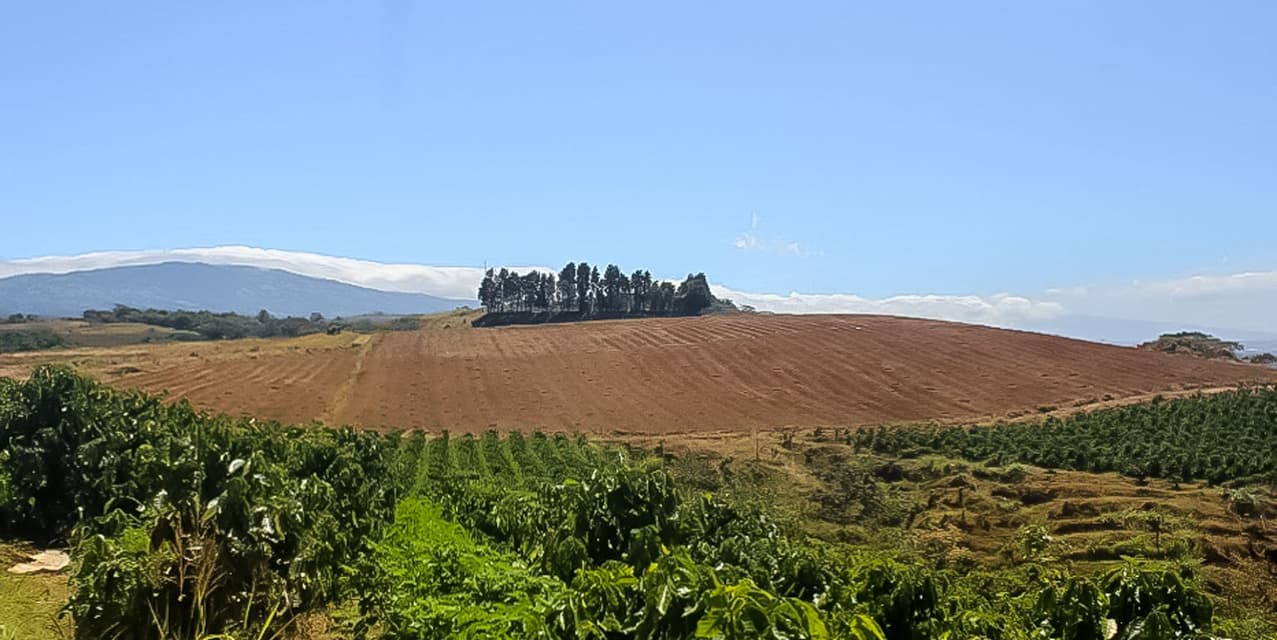 Valley Views Estate in Poás, Alajuela — photo