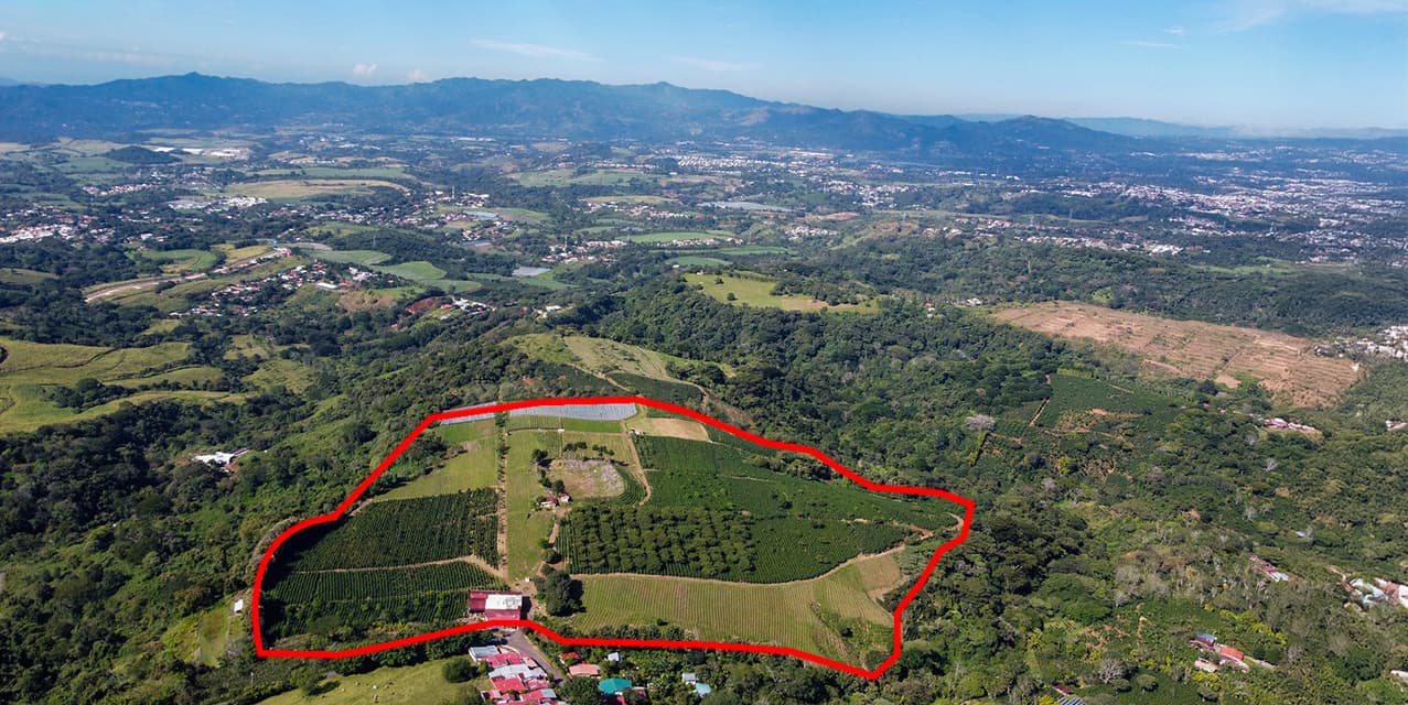 Valley Views Estate in Poás, Alajuela