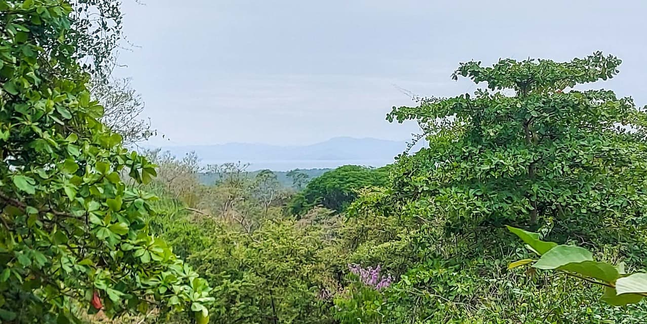 La Estancia del Pacífico at Tárcoles — photo