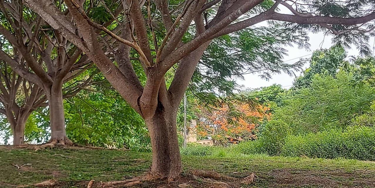 La Estancia del Pacífico at Tárcoles — photo