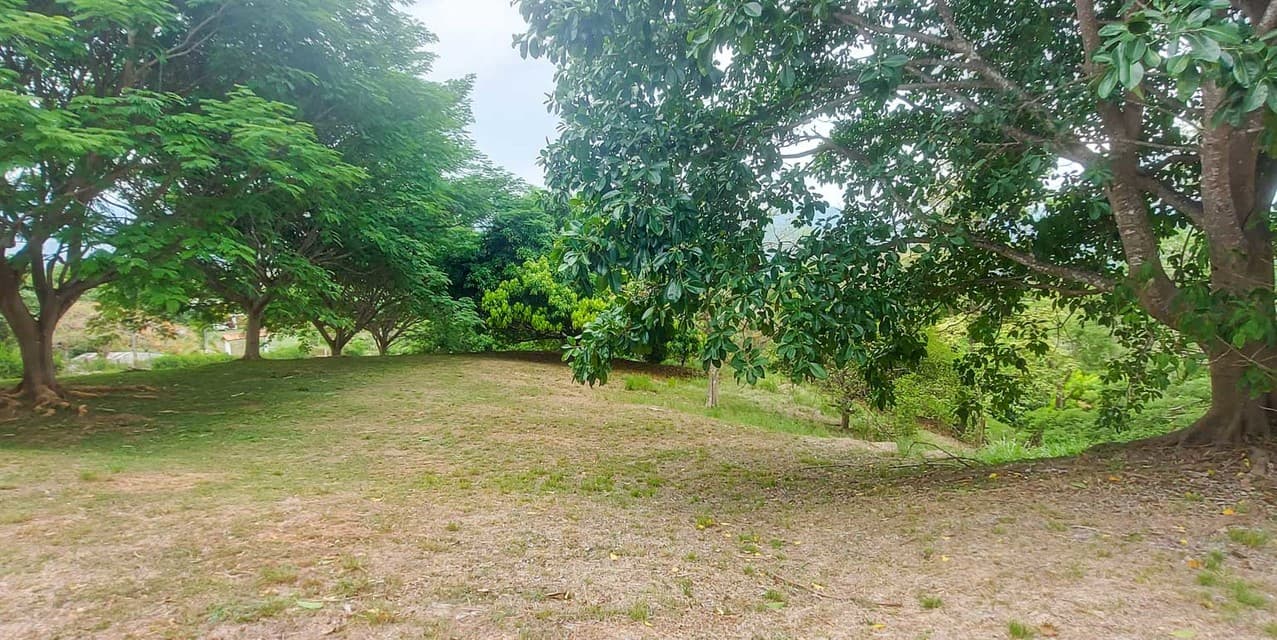 La Estancia del Pacífico at Tárcoles — photo