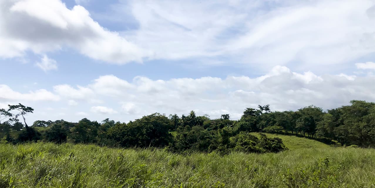 Blue Skies Estates at San Isidro — photo