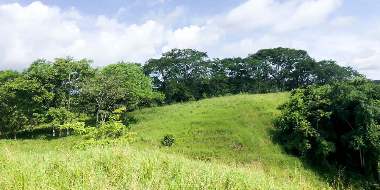 Blue Skies Estates at San Isidro — photo