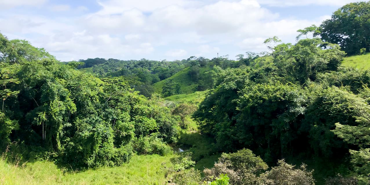 Blue Skies Estates at San Isidro — photo