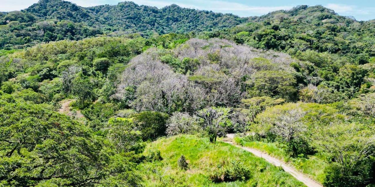 Lotes Lomas del Pacífico en Cabuya — photo