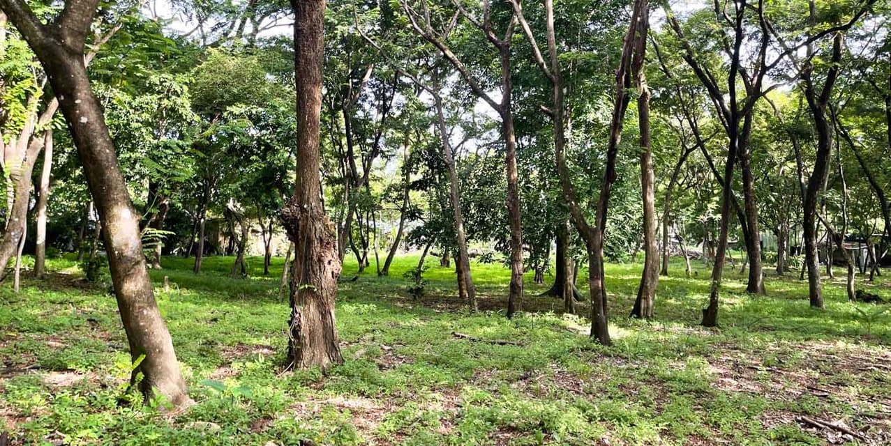 Santa Teresa Central Lots — photo