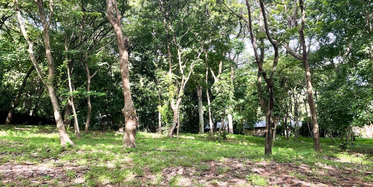 Santa Teresa Central Lots — photo