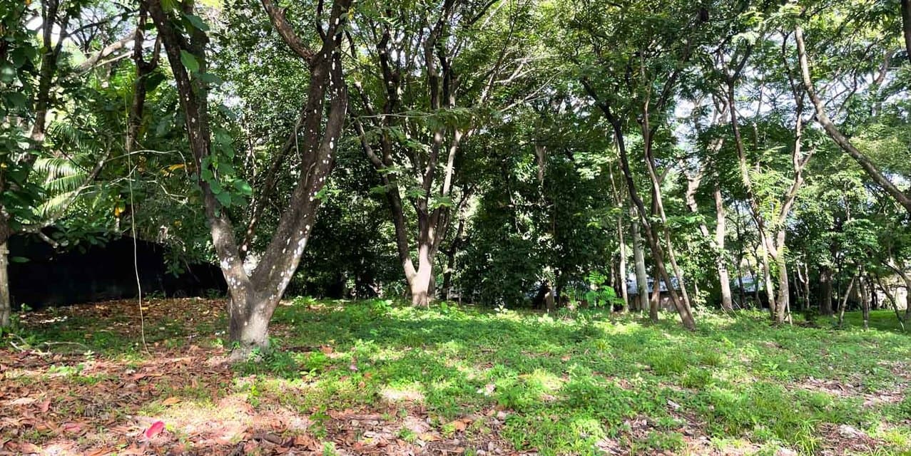 Santa Teresa Central Lots — photo