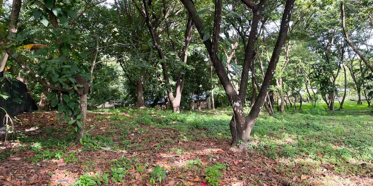 Santa Teresa Central Lots — photo