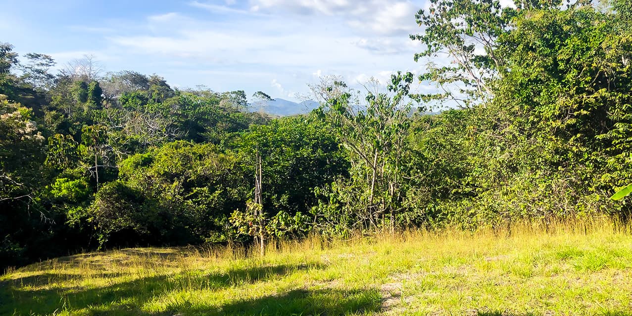 Private Lot at Las Delicias in Montezuma — photo