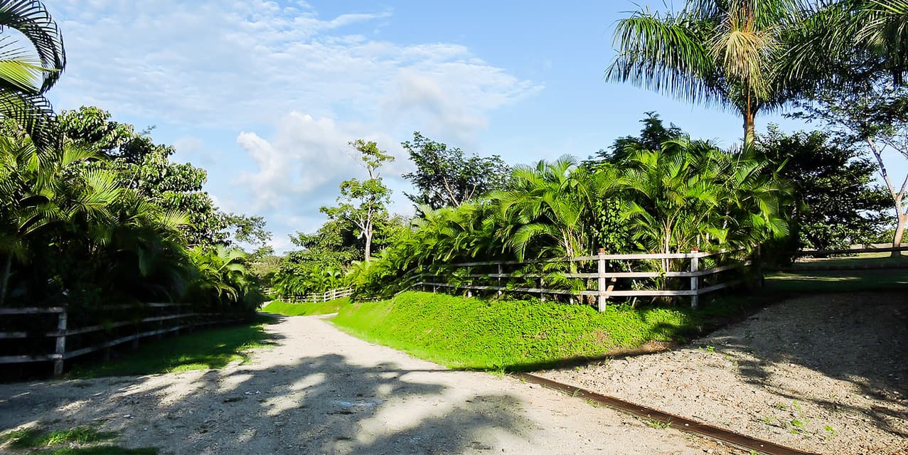 Private Lot at Las Delicias in Montezuma — photo