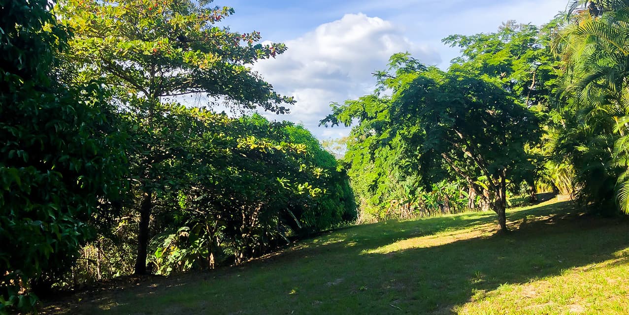 Private Lot at Las Delicias in Montezuma — photo