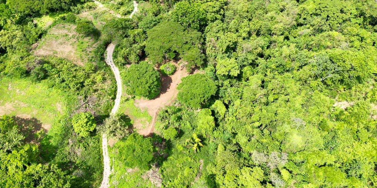Amplio Terreno con Vista a la Jungla en Cabuya — photo