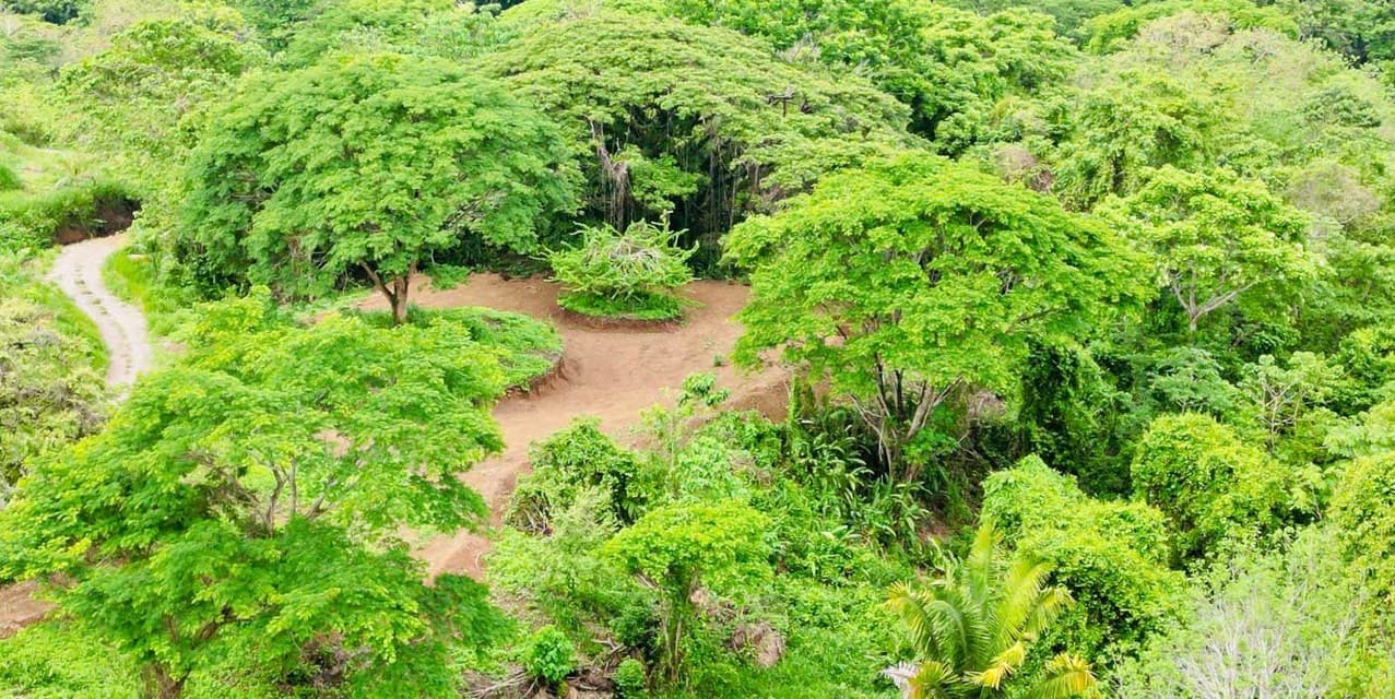 Amplio Terreno con Vista a la Jungla en Cabuya — photo