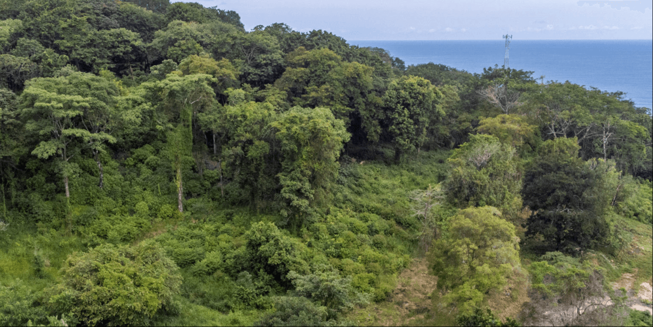 Panoramic Sea Views Lot at Santa Teresa — photo