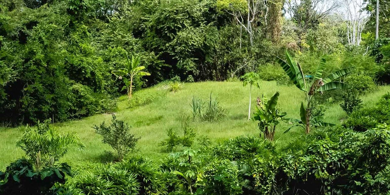 Private Lots in Gated Community near Playa Hermosa — photo