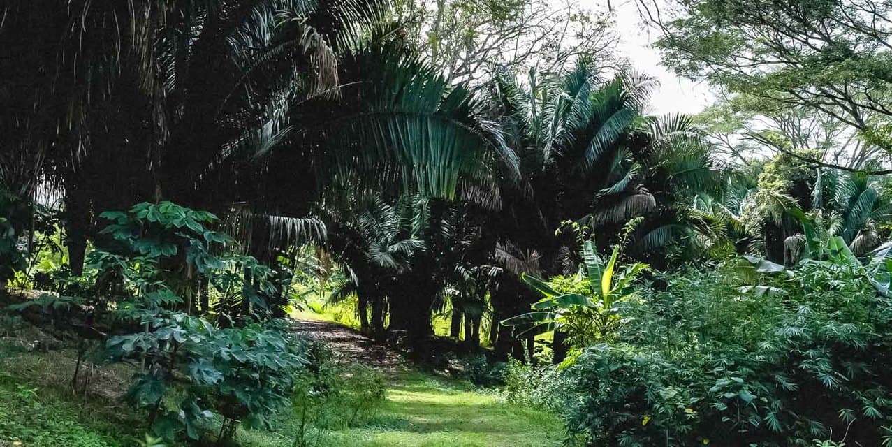 Private Lots in Gated Community near Playa Hermosa — photo