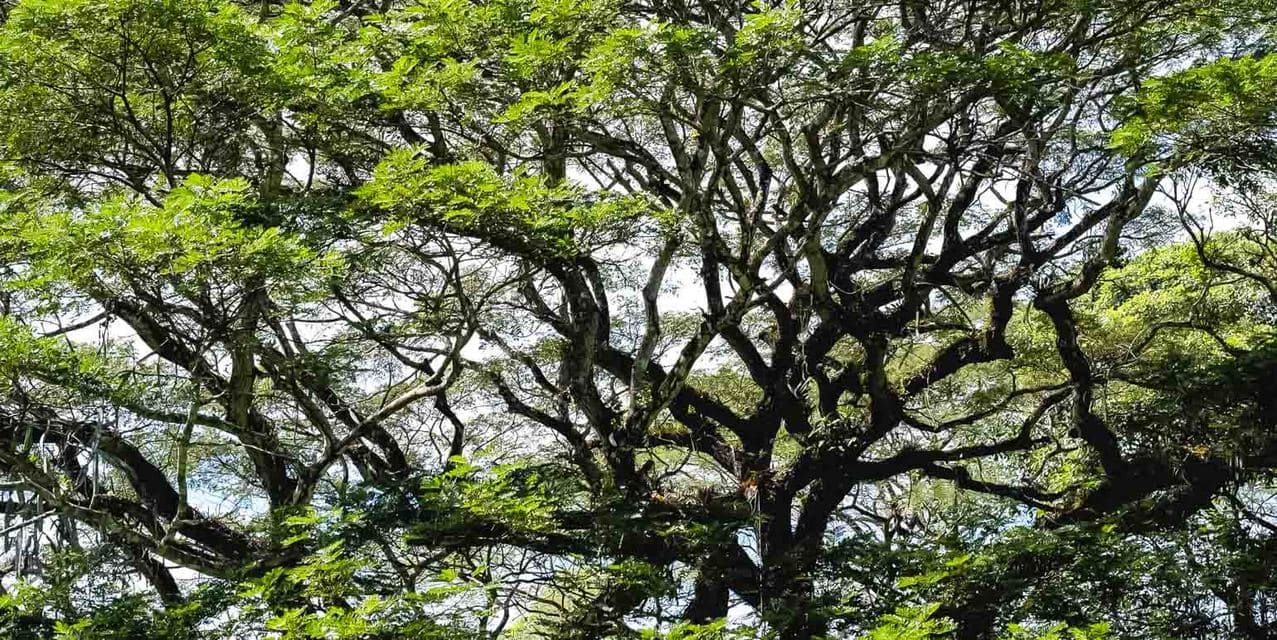 Private Lots in Gated Community near Playa Hermosa — photo