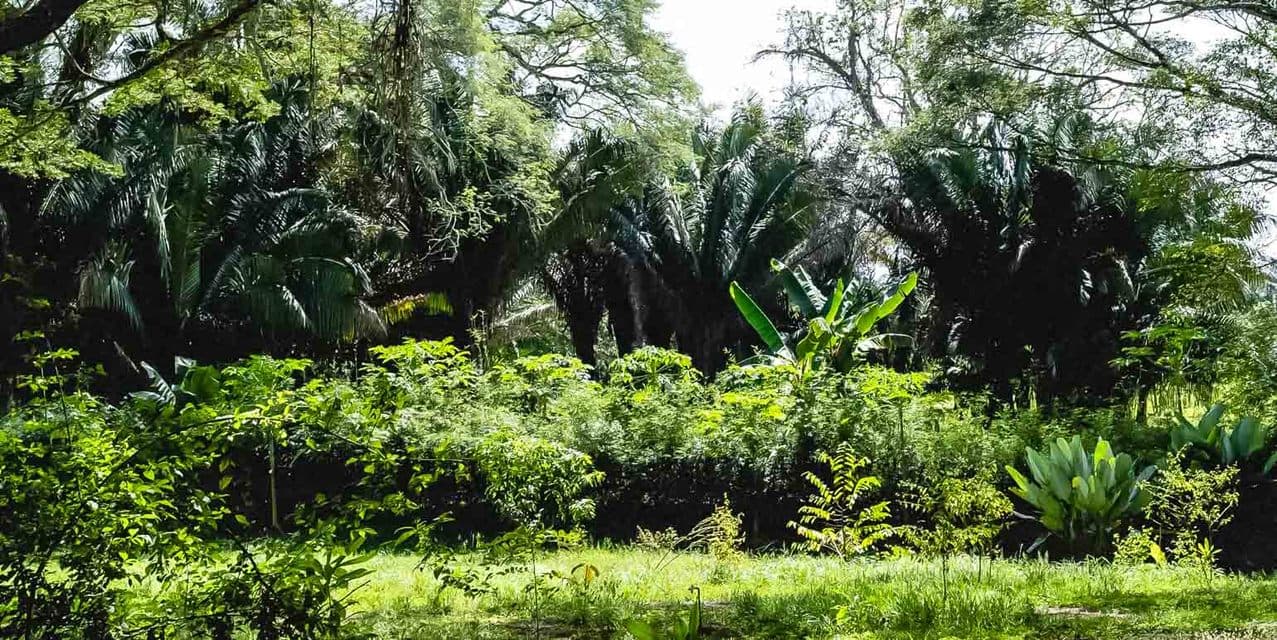 Private Lots in Gated Community near Playa Hermosa — photo