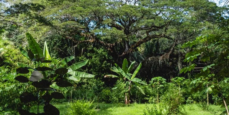 Private Lots in Gated Community near Playa Hermosa