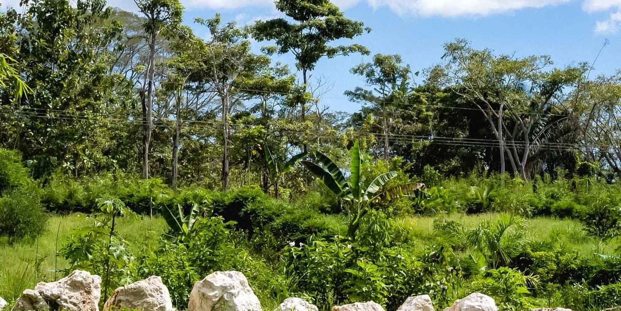 Private Lots in Gated Community near Playa Hermosa — photo