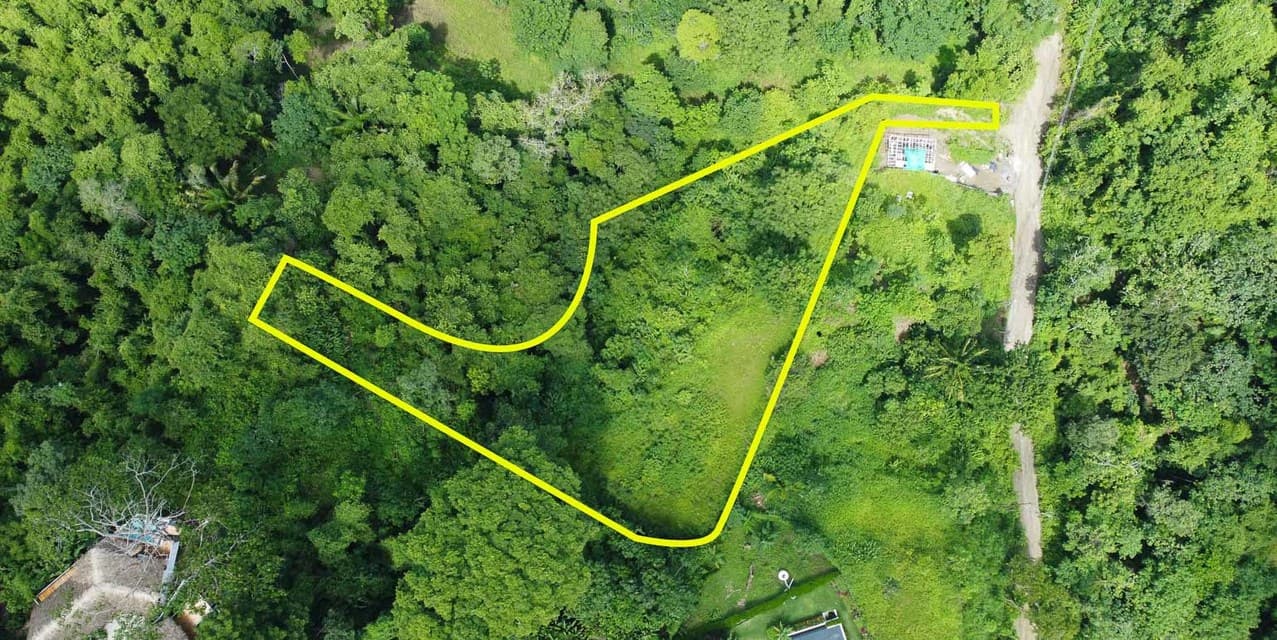 Exclusive Lot at Malpaís — photo