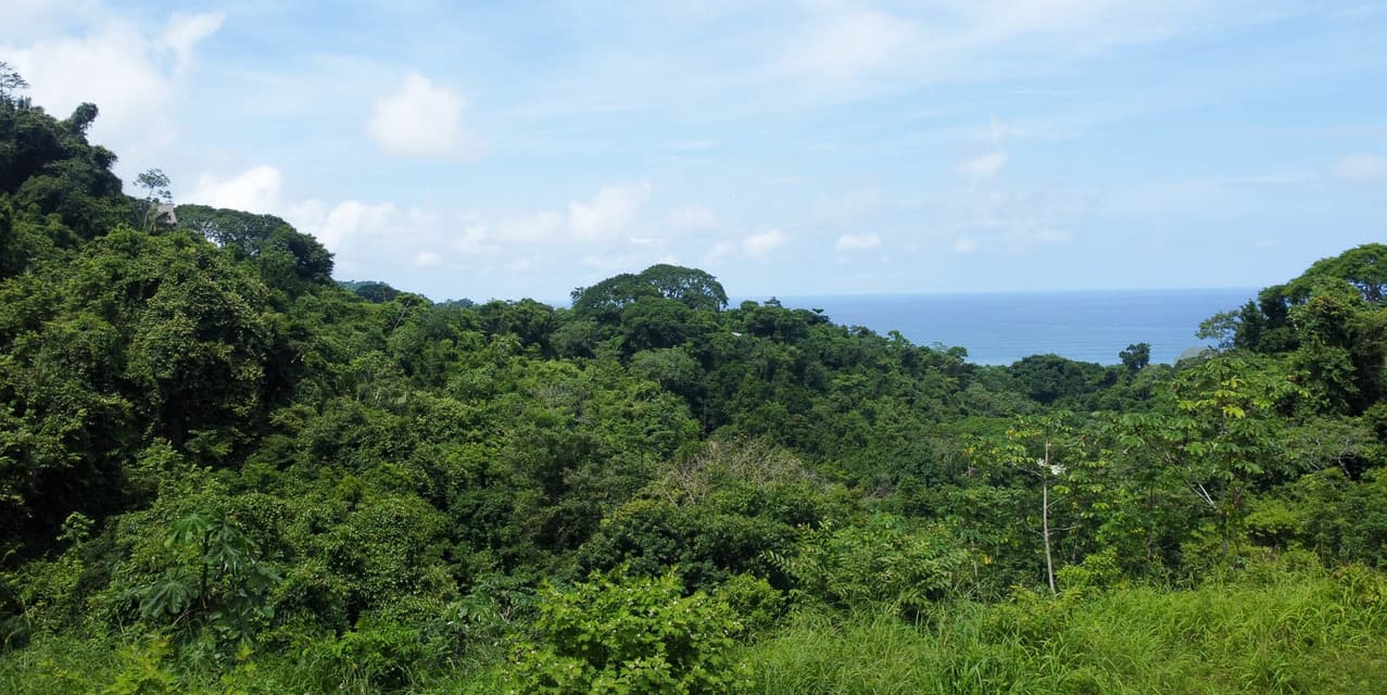 Exclusive Lot at Malpaís — photo