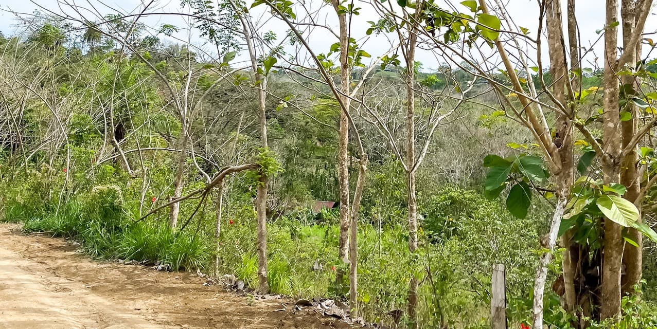 Lote en la Colina en Manzanillo — photo