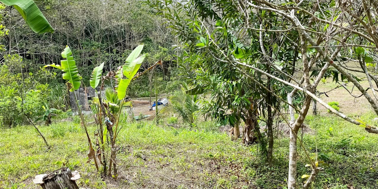 Lote en la Colina en Manzanillo — photo