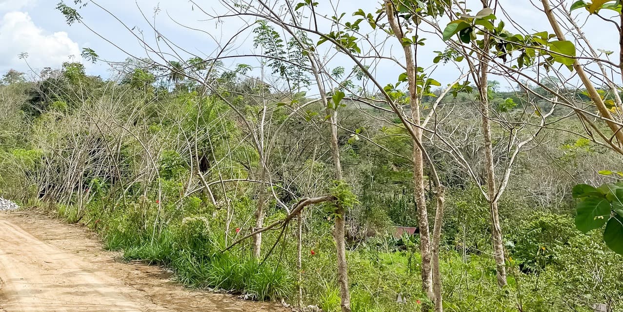 Lote en la Colina en Manzanillo — photo
