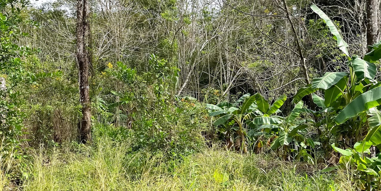 Lote en la Colina en Manzanillo — photo
