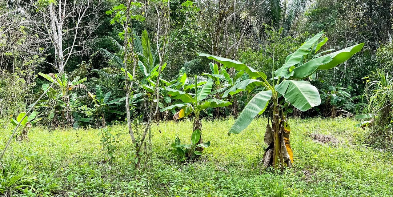 Lote en la Colina en Manzanillo — photo