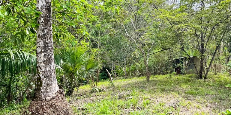 Lote en la Colina en Manzanillo