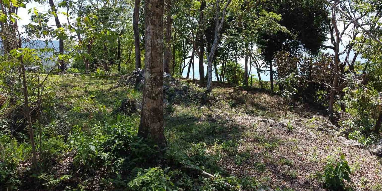 Terra Dos Lots in the Heart of Santa Teresa — photo