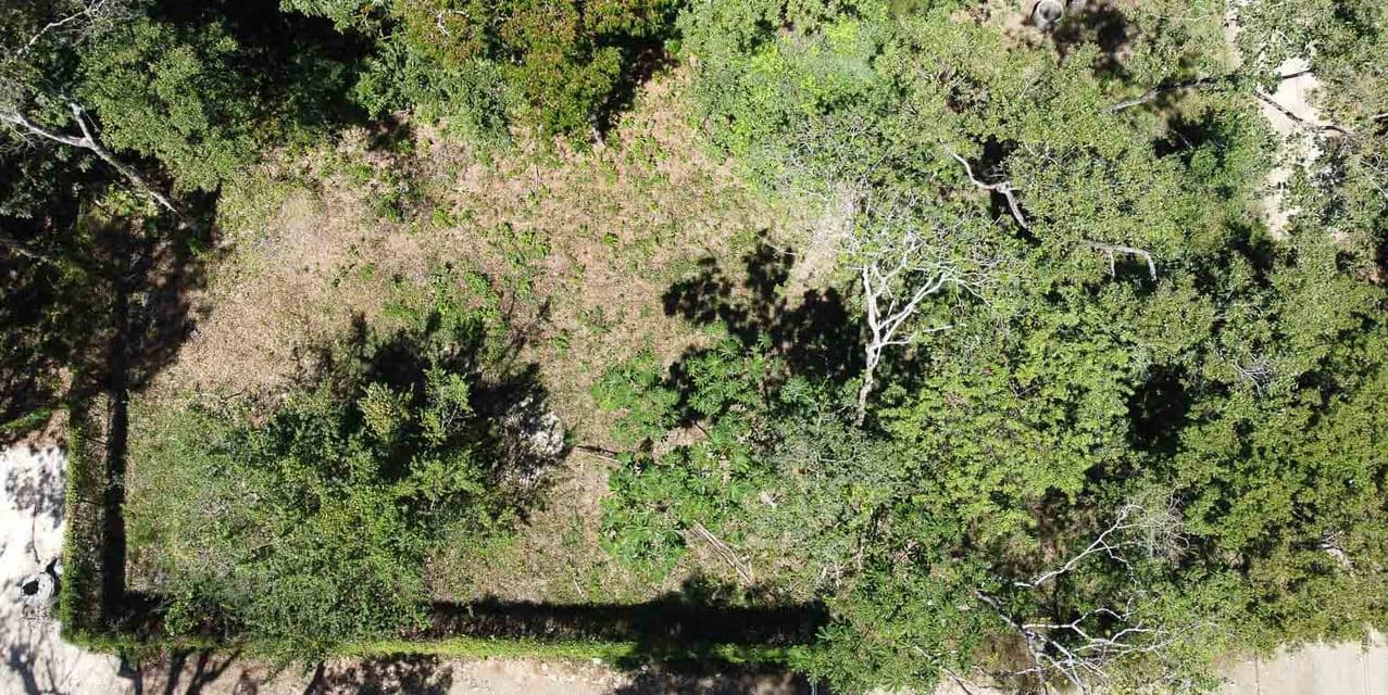 Centrally Located yet Tucked Away Land — photo