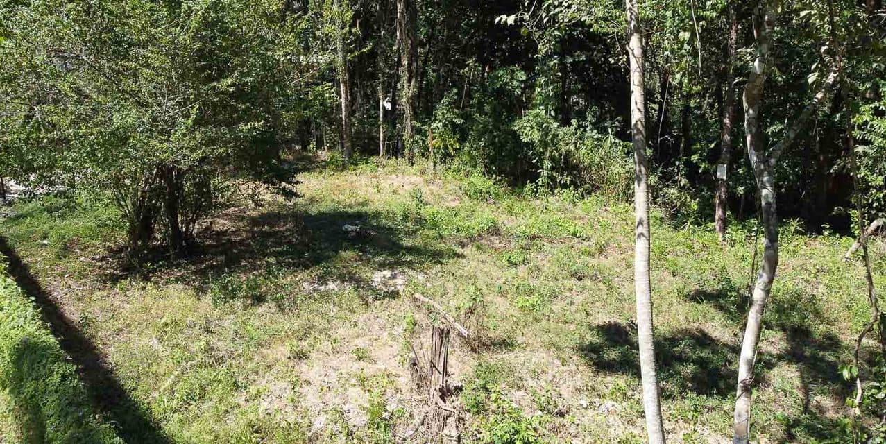Centrally Located yet Tucked Away Land — photo
