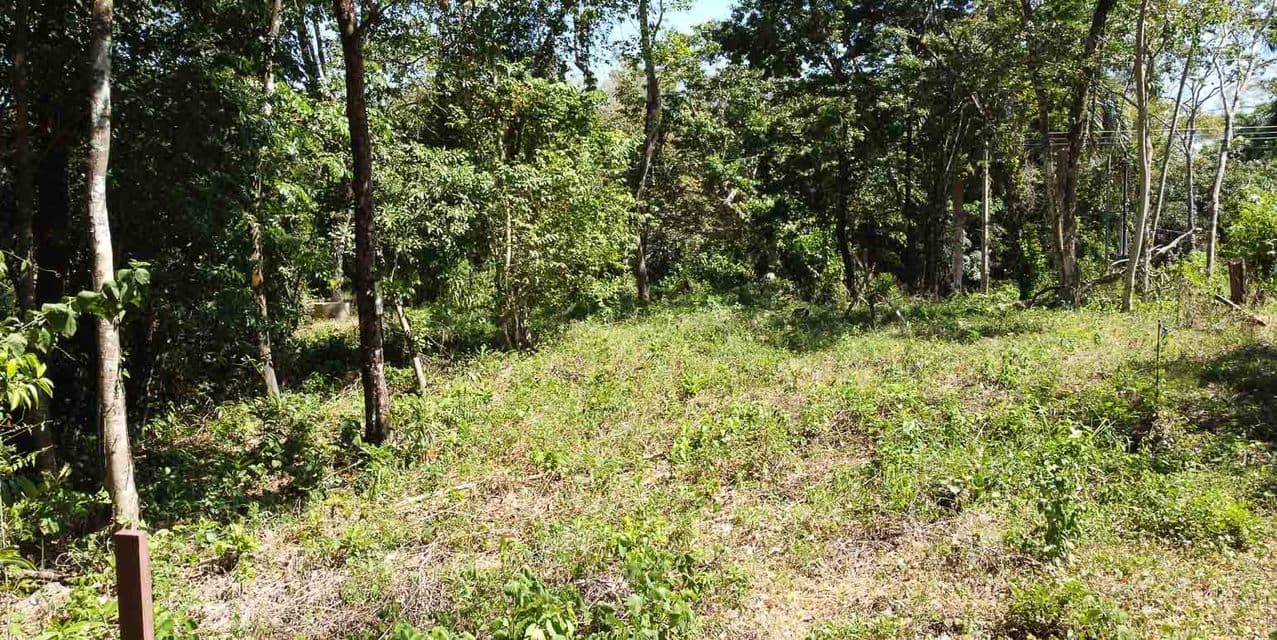 Centrally Located yet Tucked Away Land — photo