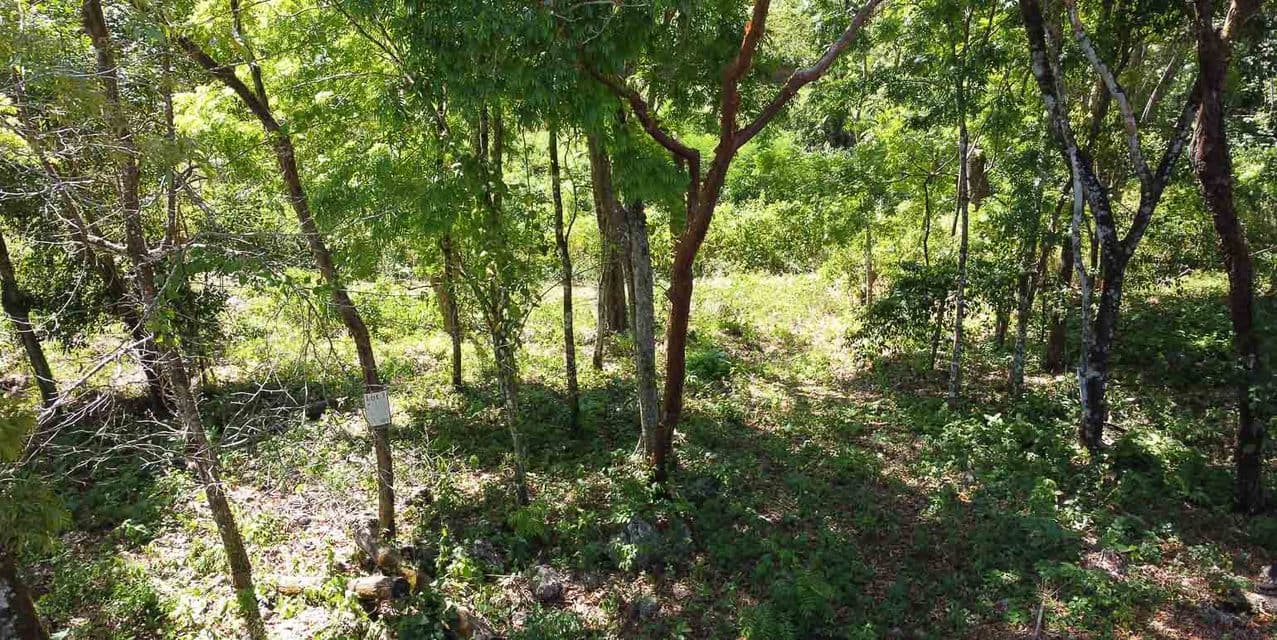 Centrally Located yet Tucked Away Land — photo