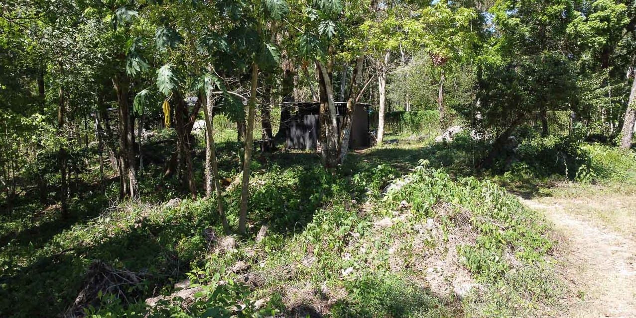 Centrally Located yet Tucked Away Land — photo