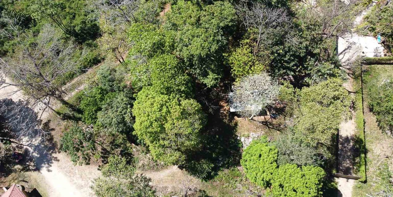Centrally Located yet Tucked Away Land — photo