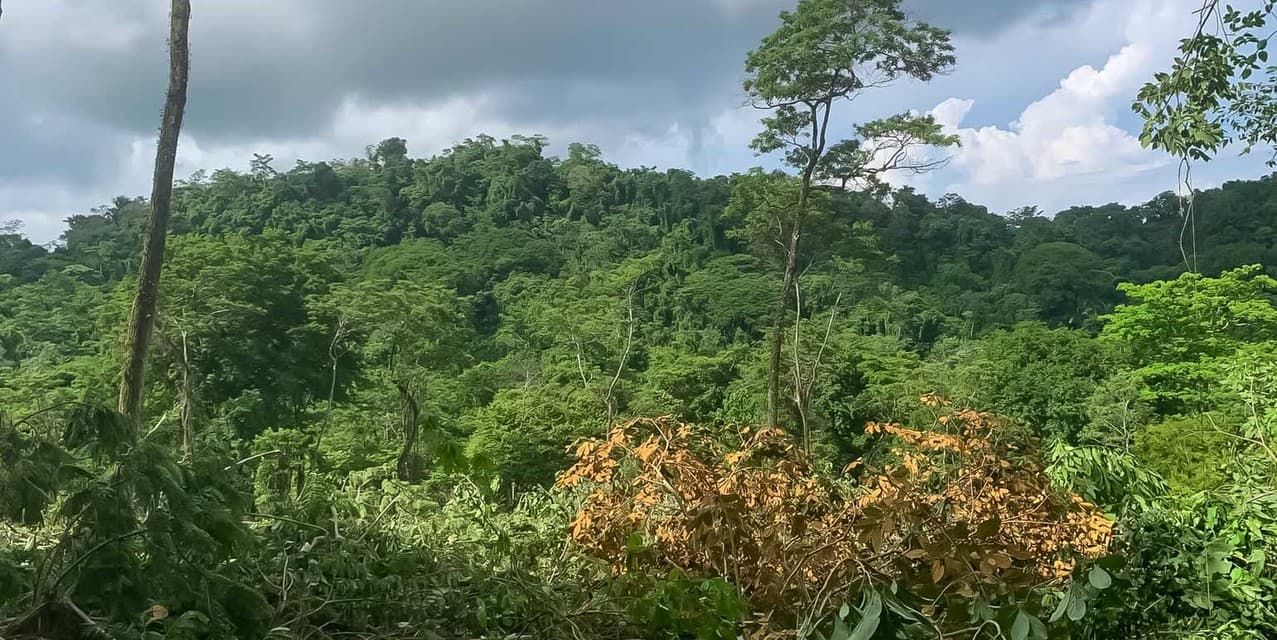 Lot Surrounded by Nature at Santa Teresa — photo