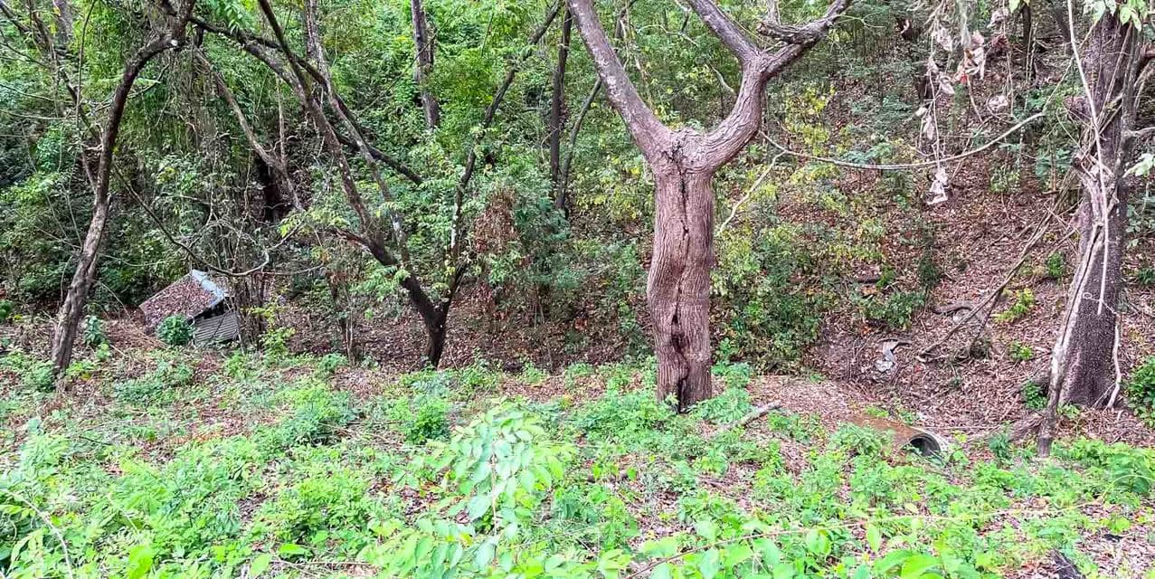 Gold Land at Santiago, Santa Teresa — photo
